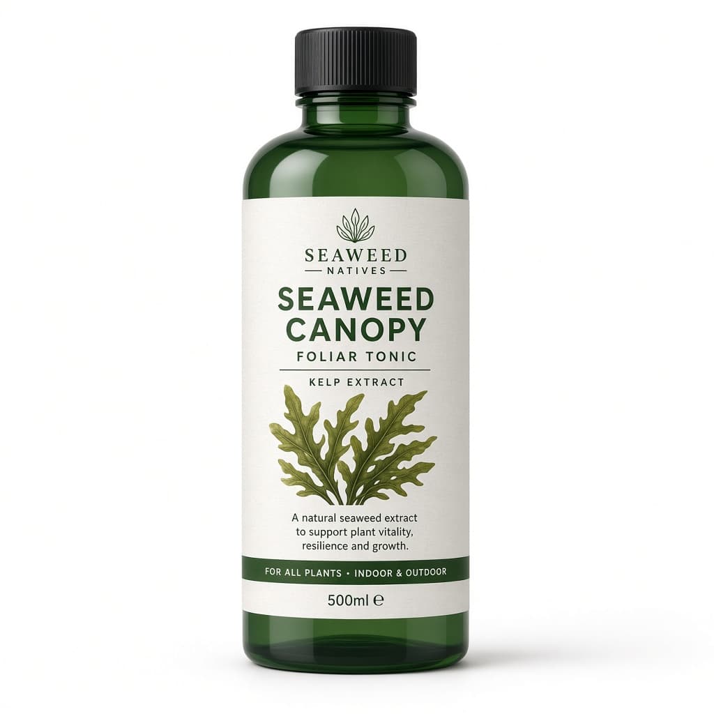 Seaweed canopy tonic — 500 ml