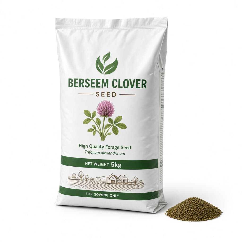 Berseem clover seed — 5 kg