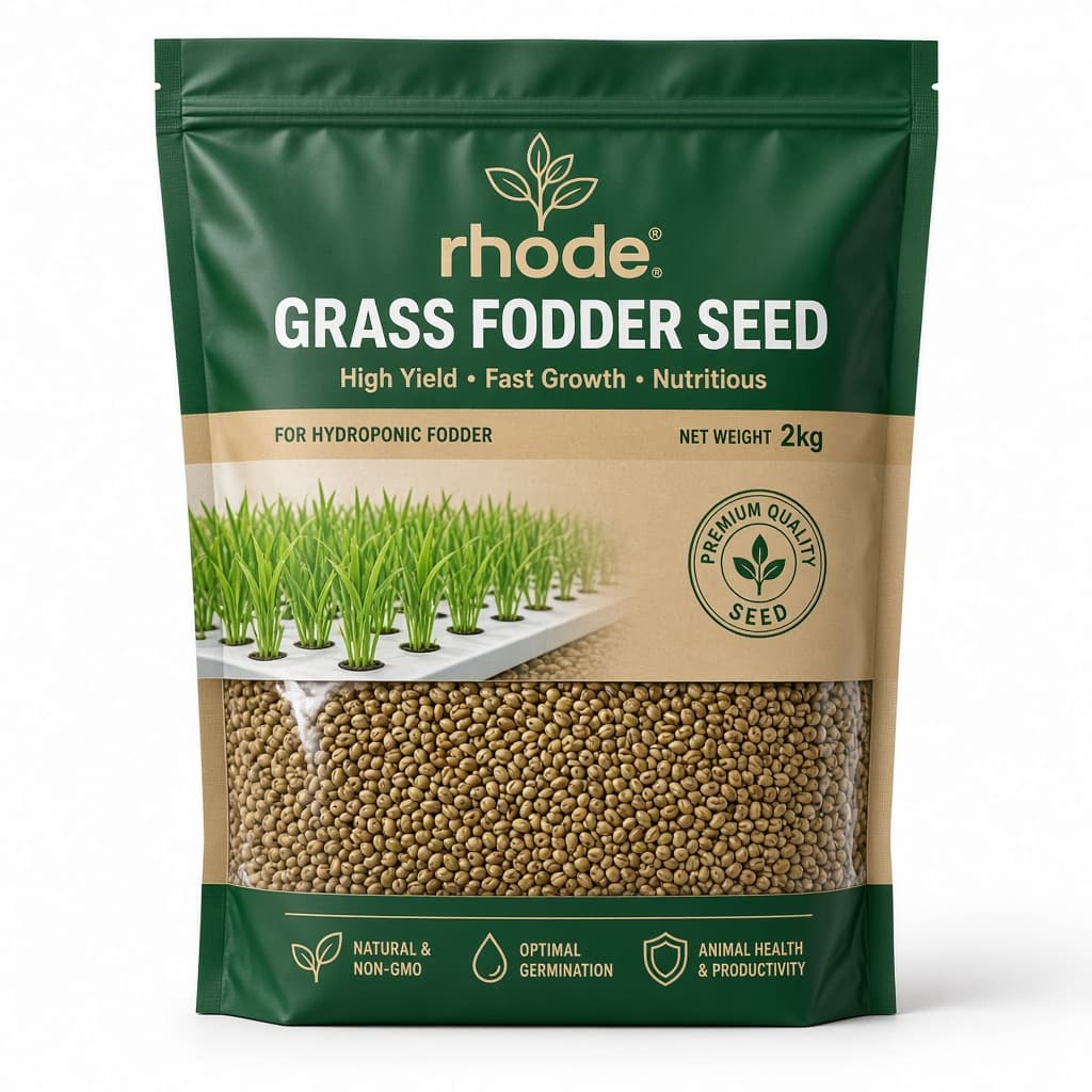 Rhode grass fodder seed — 2 kg