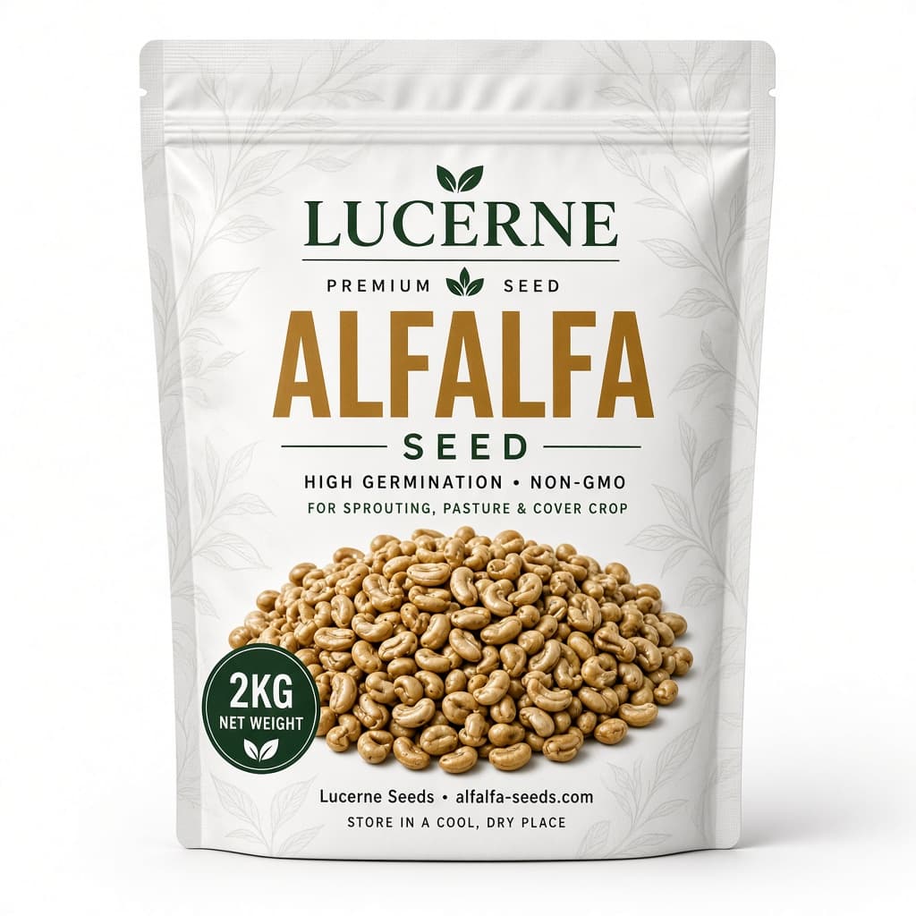 Lucerne (alfalfa) seed — 2 kg