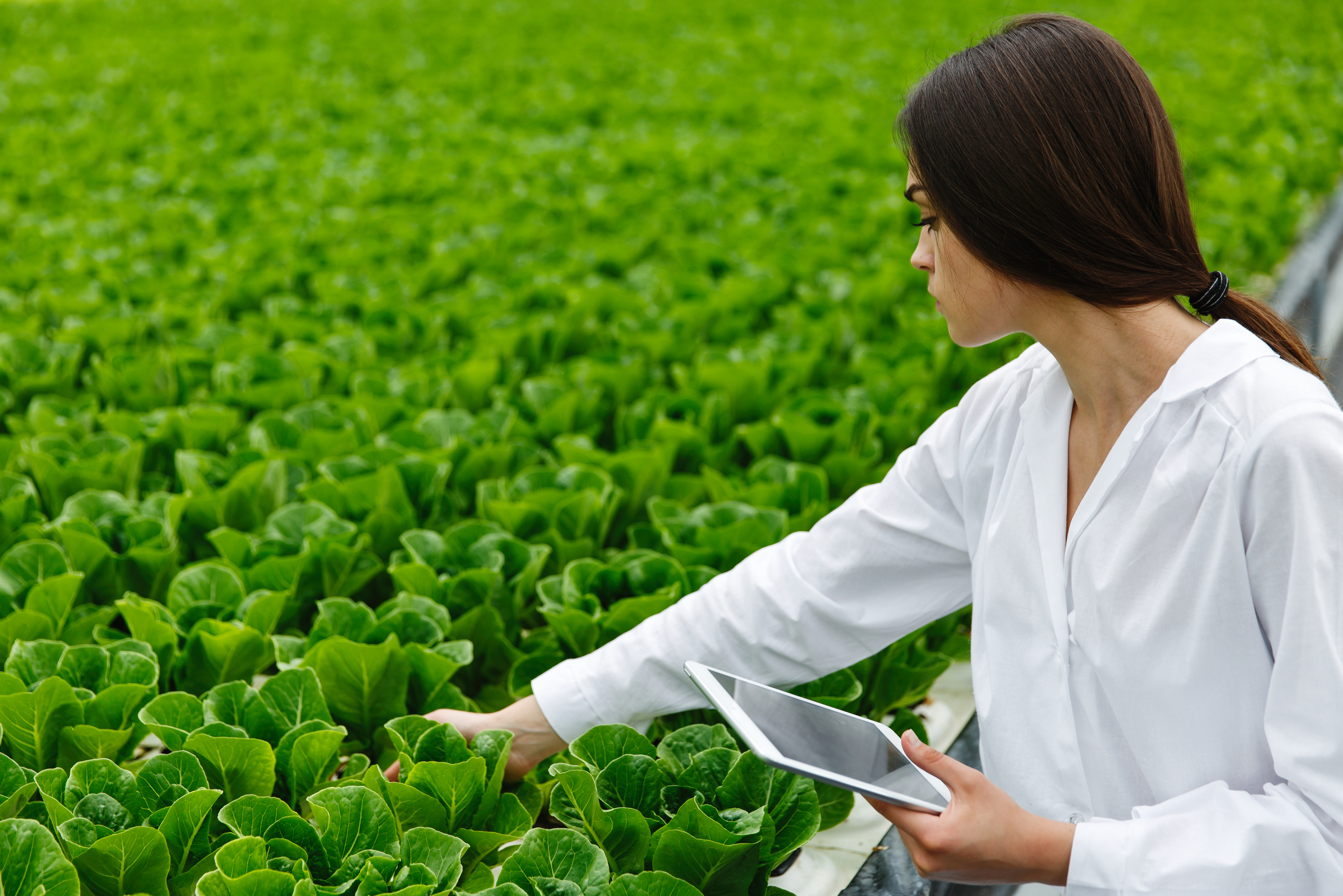Farmer Education